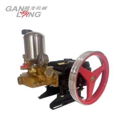 Bombas agrícolas de la bomba del rociador del poder del motor del motor de gasolina de la gasolina 5.5HP de 4 tiempos