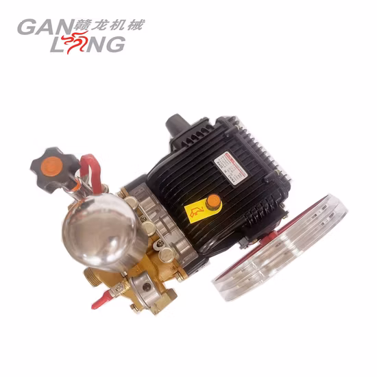 Bombas agrícolas de la bomba del rociador del poder del motor del motor de gasolina de la gasolina de 4 tiempos