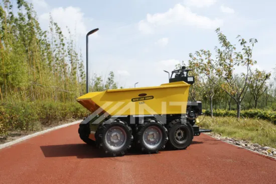 China Power Barrow/Muck Truck/Mini Dumper/Mini Loader By1000 con Ce