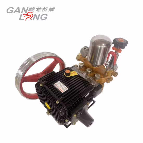 Bomba agrícola portátil del rociador del poder del motor del motor de gasolina de la gasolina de 4 tiempos